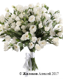 ����� �� ������� ������� ��������� (�����������)