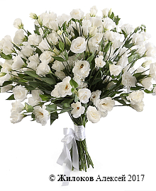 ����� �� ������� ������� ��������� (�����������)