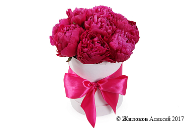 ����� �� ������ ������� � ������� �������