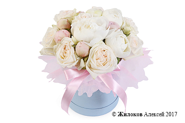 ����� � ������� ������ ������ � ������� �������