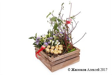 ����� ������ ������ � �����