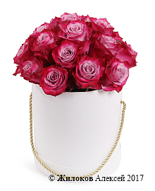 ����� ��������� ��� � ������� �������