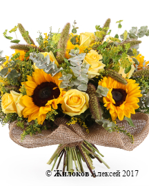 ����� ��������� ��������