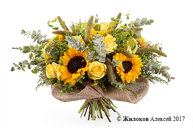 ����� ��������� ��������