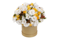 ����� � �������� ���� ������� � ������� �������