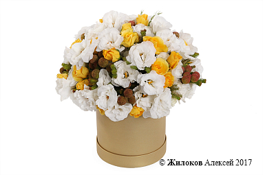 ����� � �������� ���� ������� � ������� �������