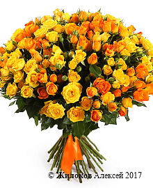 ����� ��������� ����������, 50 ��� ����