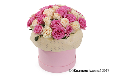 ����� ����� ���������� � ������� �������