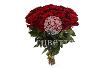 ����� 31 ���� ��� �����