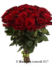 Букет 31 роза Ред Париж