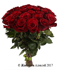 ����� 31 ���� ��� �����