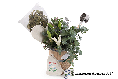 ���������� ����� ������� �����