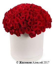 ����� 101 ���� ������ � ������� �������