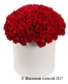 ����� 101 ���� ������ � ������� �������