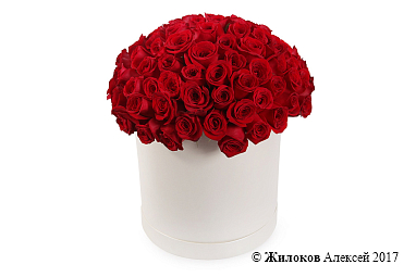 ����� 101 ���� ������ � ������� �������