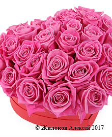 ����� ������� ������ � ������� ������� ������, �����