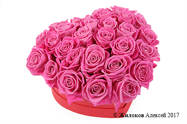 ����� ������� ������ � ������� ������� ������, �����