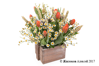 ���������� ������� ������ � ����� (����)