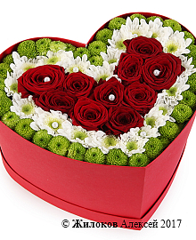 ����� ������ � ������ � ������� ������� ������