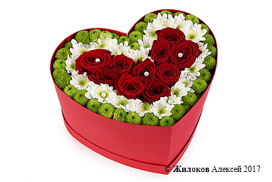 ����� ������ � ������ � ������� ������� ������