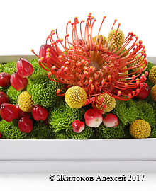 ���������� ����������� �� ��������� � �������