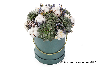 ����� ������� � ������� �������