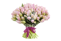 ����� 101 ����������� �������, ���������