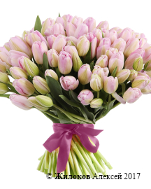 ����� 101 ����������� �������, ���������