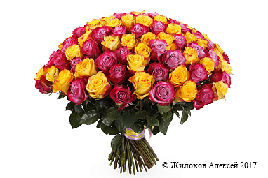 ����� ��� ��� �� �����