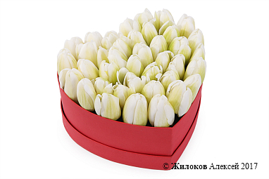 ���������� �������� ����������� � ������� ������� ������ (����), �����