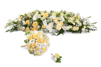 �������� ����� �����