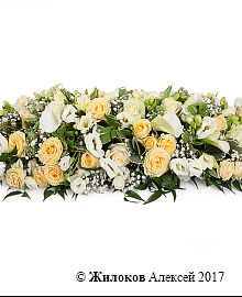 ���������� ����� ������