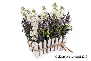 ���������� ������ ����� � �����