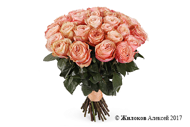 ����� 35 ����������� ��� ������