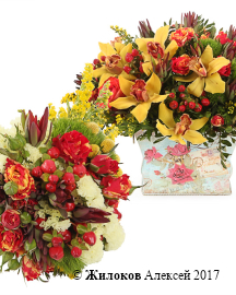 ��������� �������� � ��������� �����