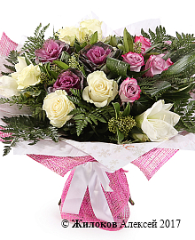 ����� ������ ����������