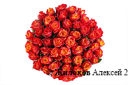 Букет 51 роза Атомик