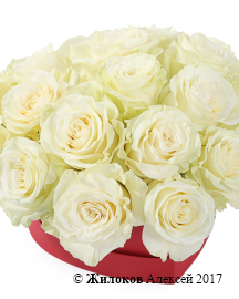 ����� �������� ��� � ������� ������� ������ (����)