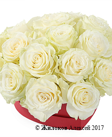 ����� �������� ��� � ������� ������� ������ (����)