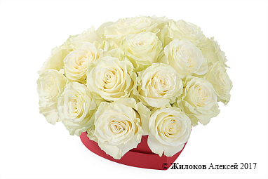 ����� �������� ��� � ������� ������� ������ (����)