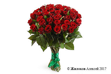 ����� �������� ���, 51 ����