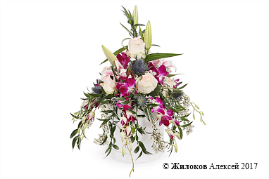 ����� ������� � ������� �������