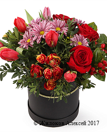 ����� ������ � ������� �������