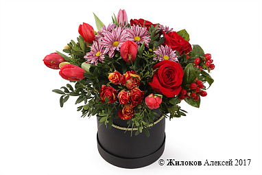 ����� ������ � ������� �������