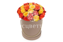 ����� ������� ������� � ������� �������