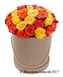 ����� ������� ������� � ������� �������