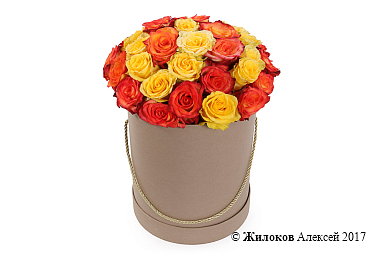 ����� ������� ������� � ������� �������