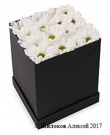 Букет хризантем Черное и белое в шляпной коробке