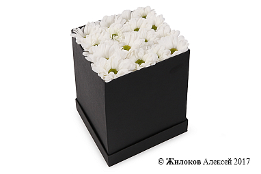 ����� ��������� ������ � ����� � ������� �������