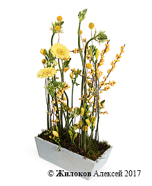 ���������� ������ ����� � �����